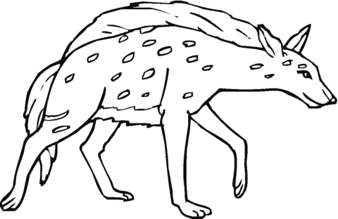 Spotted Or Laughing Hyena  Coloring Page